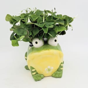 Lucky Green Clover Flower Bouquet