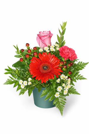 Curated Container Designs