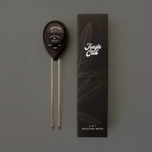 Moisture Meter Flower Bouquet