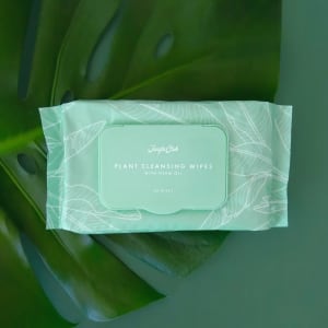 Plant Cleansing Wipes Flower Bouquet