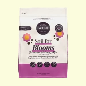 Premium Potting Mix Flower Bouquet