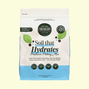 Premium Potting Mix Flower Bouquet