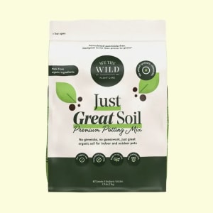 Premium Potting Mix Flower Bouquet