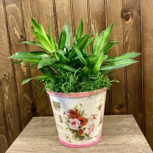 6" Flower Basket with Green Plant Flower Bouquet