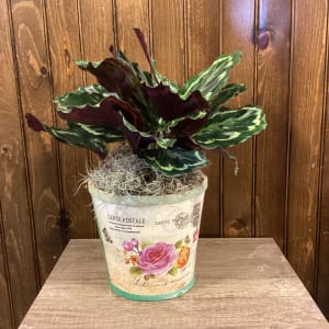 6" Flower Basket with Green Plant Flower Bouquet