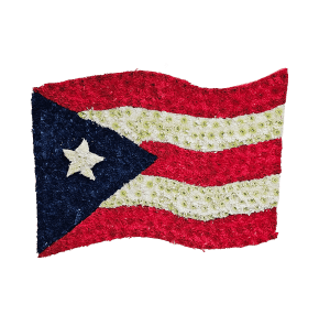 D-10 Bandera de Puerto Rico con cinta impresa