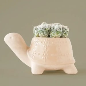 Turtle Planter Flower Bouquet