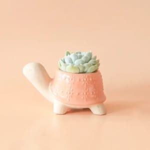 Turtle Planter Flower Bouquet