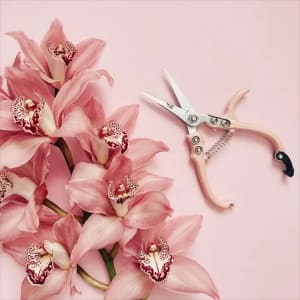Pruning Shears Flower Bouquet