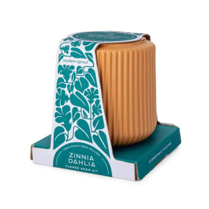 Flower Grow Kit Flower Bouquet