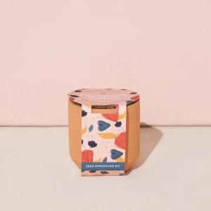 Tiny Terracotta Grow Kits Flower Bouquet