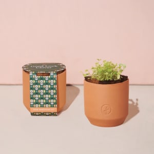 Tiny Terracotta Grow Kits Flower Bouquet