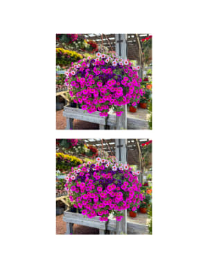 Goshen Friends Spring Fundraiser Flower Bouquet