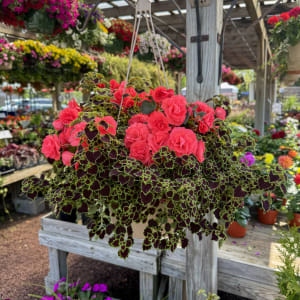 Goshen Friends Spring Fundraiser Flower Bouquet