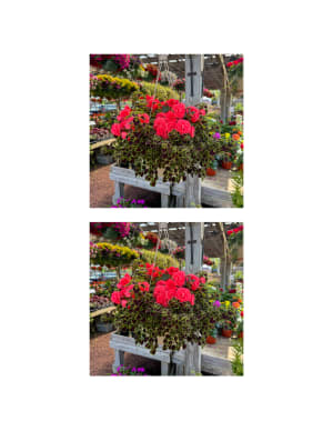 Goshen Friends Spring Fundraiser Flower Bouquet