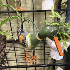 Plant Pals Watering Can Flower Bouquet