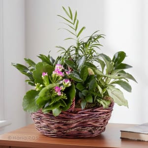 Purple Dish Garden Flower Bouquet