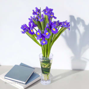 Iris Vase Flower Bouquet
