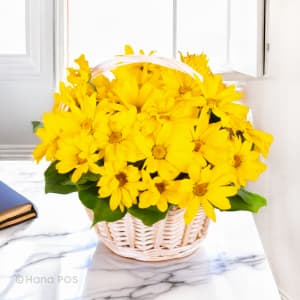 Yellow Daisies Basket  Flower Bouquet