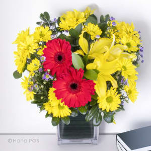Red Gerbera Cube Flower Bouquet