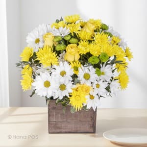 Sunny Daisies Flower Bouquet