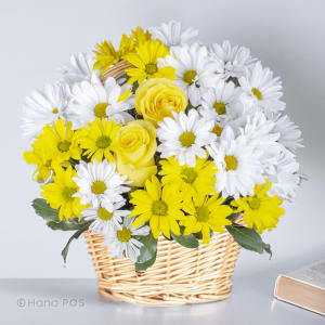 Daisies Basket!  Flower Bouquet
