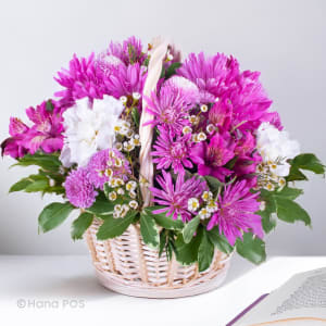 Purple Basket