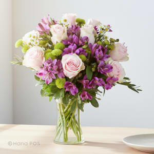 Lavender Rush!