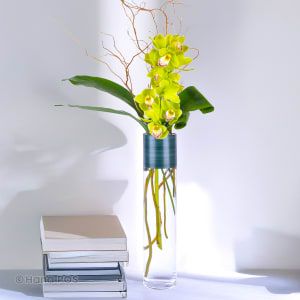Jade Cymbidium Arrangement 