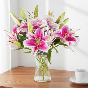 Stargazer Lily Bouquet