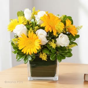 Hello Sunshine!