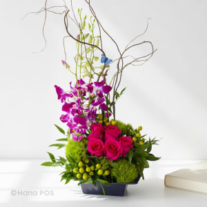Orchid Zen Garden