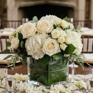 Alabaster Wedding Collection