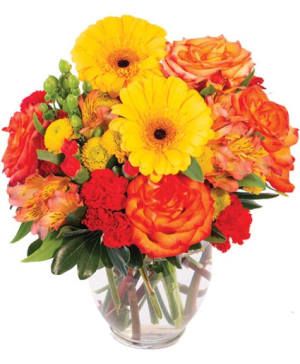 AMBER AWE
FLORAL DESIGN Flower Bouquet