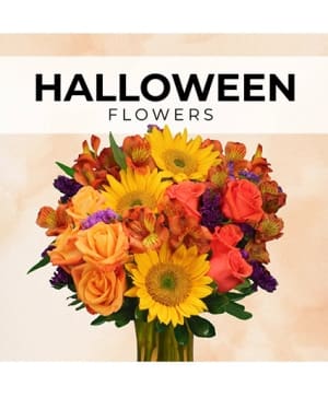 HALLOWEEN FLORIST’S PICK
DESIGNER'S CHOICE Flower Bouquet