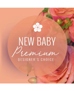 STYLISH NEW BABY
PREMIUM DESIGNER'S CHOICE