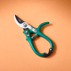 Pruning Shears