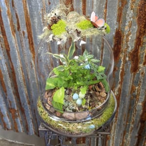 Terrariums - Plants & Botanicals Flower Bouquet