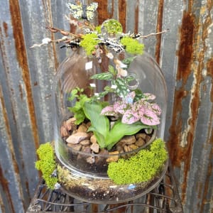 Terrariums - Plants & Botanicals Flower Bouquet