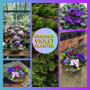 Designer Violet Planter - Plants & Botanicals Flower Bouquet