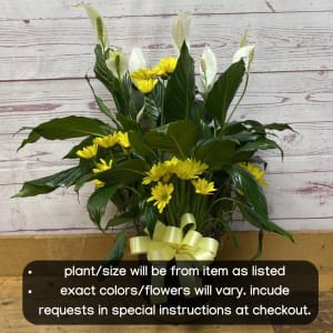 Colorful Croton Plant Flower Bouquet