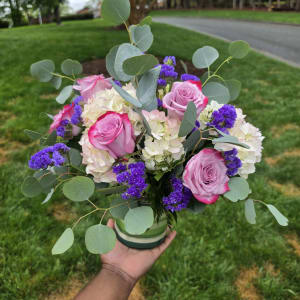 Soft Kiss Arrangement