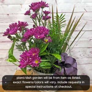 Dish Garden in Ceramic Container Flower Bouquet