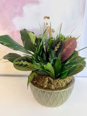 Emerald Haven Dish Garden Flower Bouquet