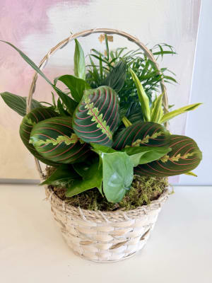 Zen Retreat Garden Mixed Basket Flower Bouquet