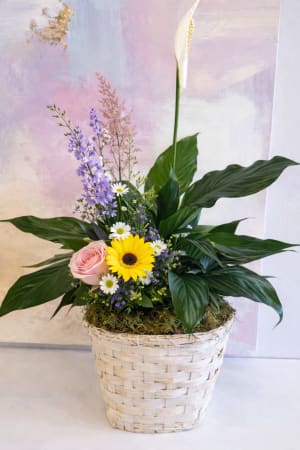 Peace Lily – In Loving Memory