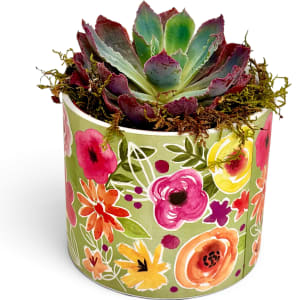 The Vibrant Blossom Succulent