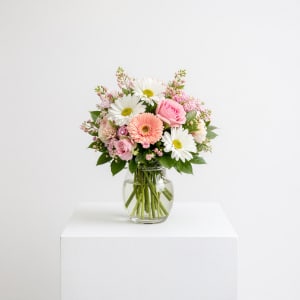 Pastel Dreams