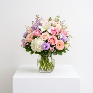Pastel Dreams