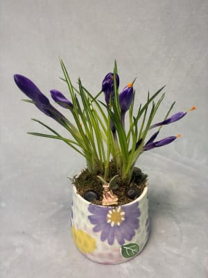 Watercolor Blub Garden Flower Bouquet